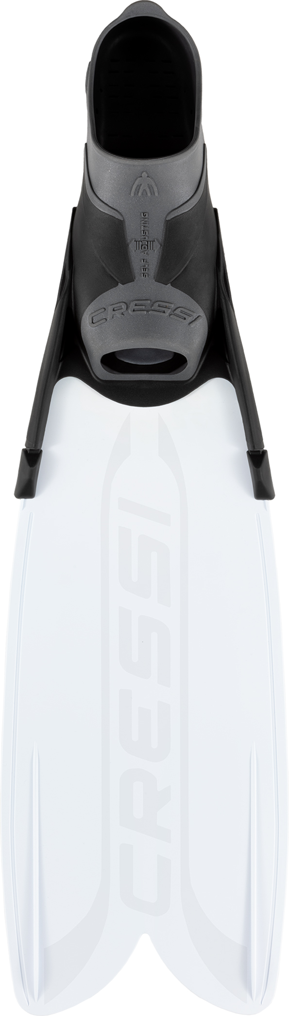 dayefolygpfbw7trdd3g-4