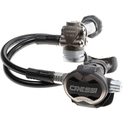 T10-SC Pvd + Master Regulator