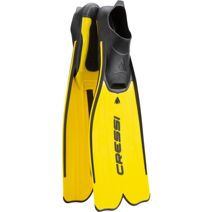 Rondinella Fins