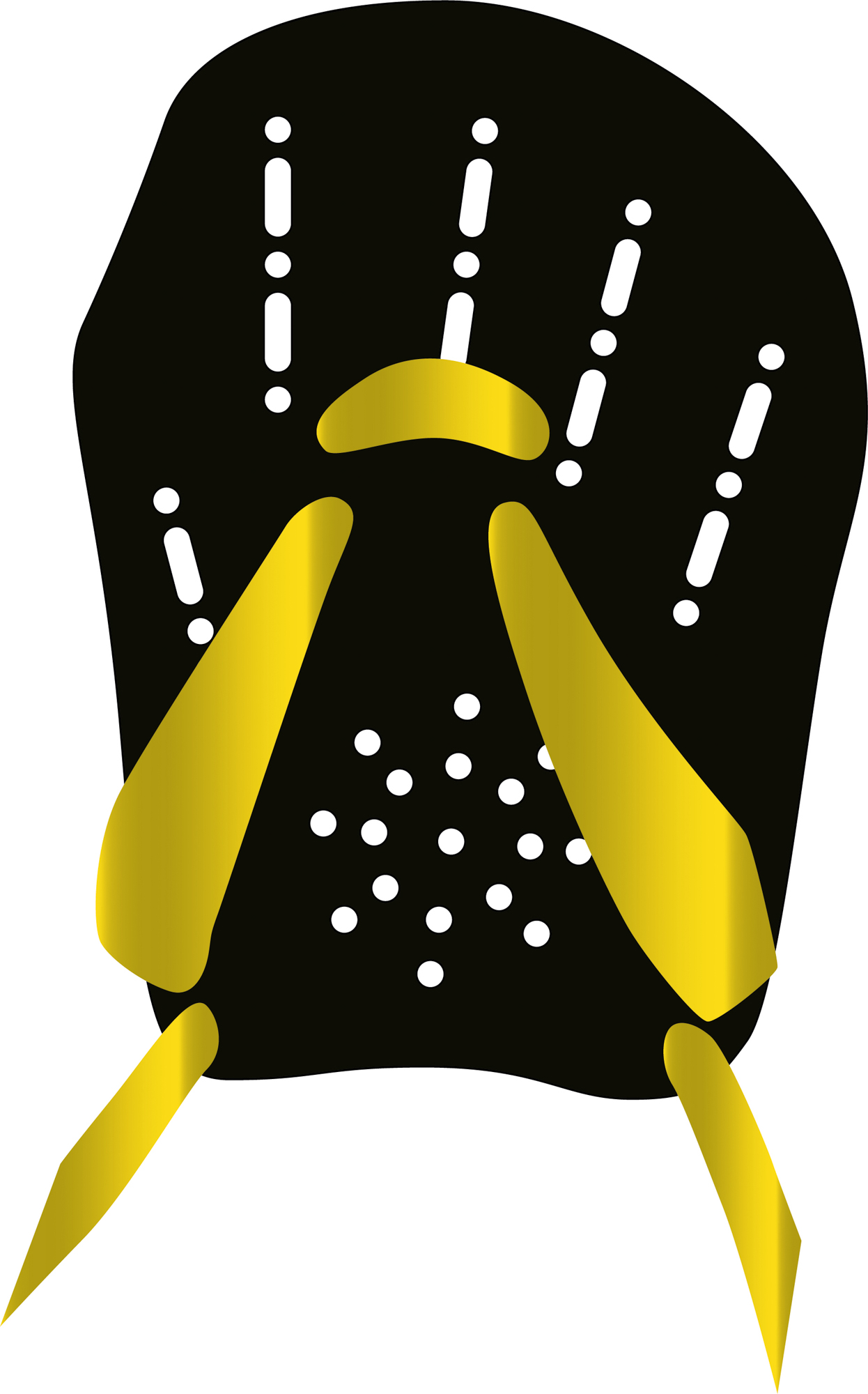 Aqua Energy (black/yellow)