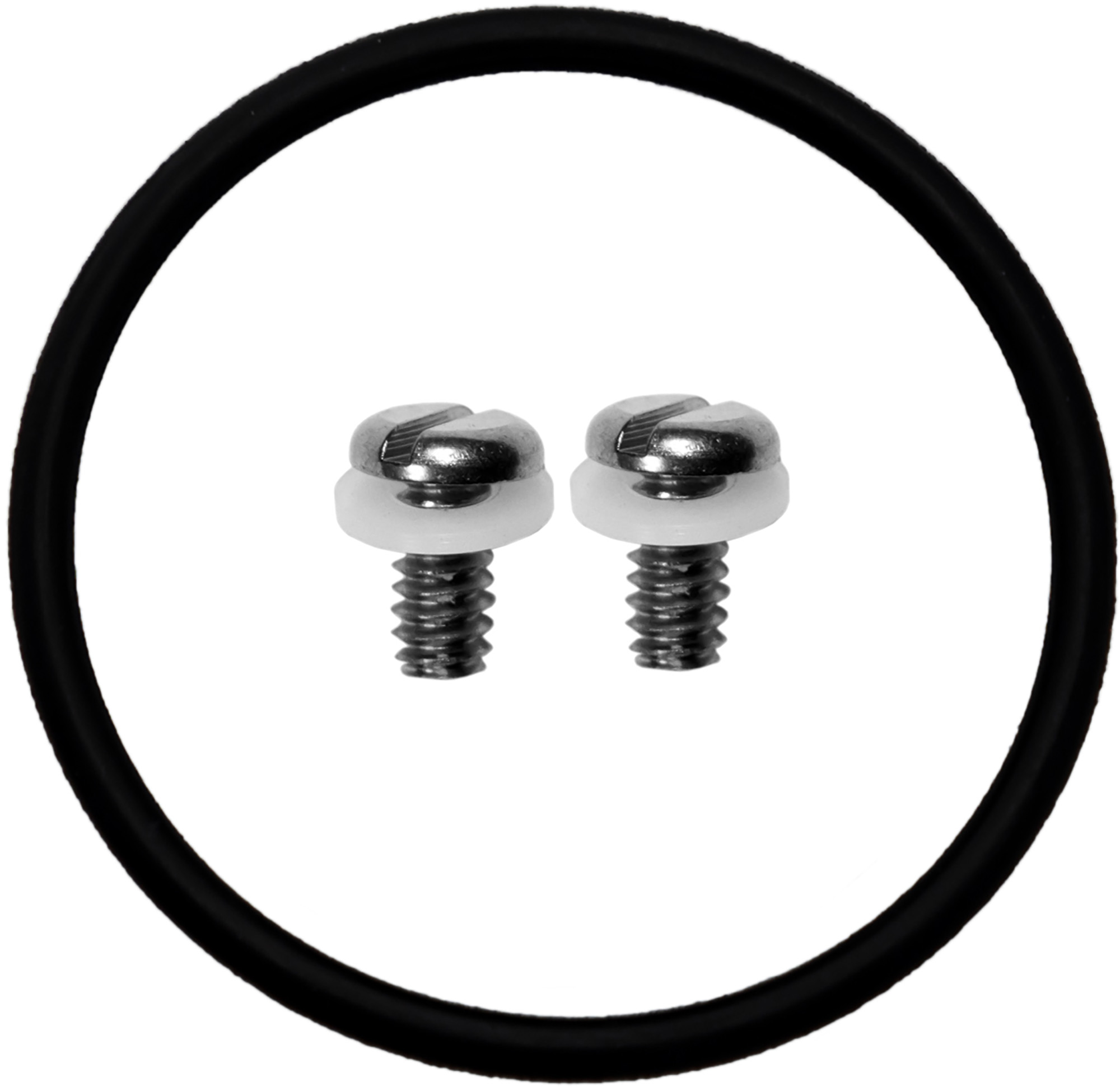 O-Ring + Screws for Watch-Style Dive Computer