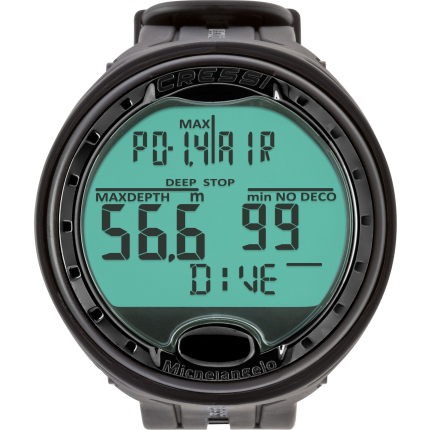 Michelangelo Computer