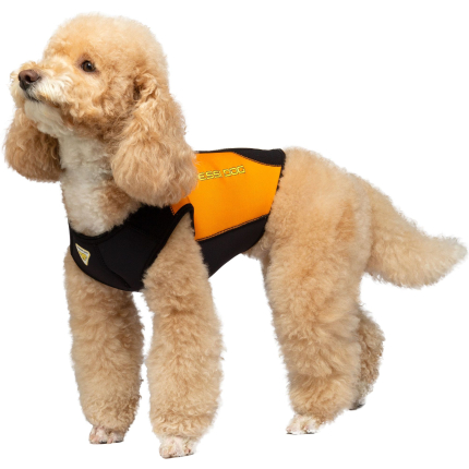 Dws Dog Wetsuit